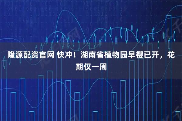 隆源配资官网 快冲！湖南省植物园早樱已开，花期仅一周